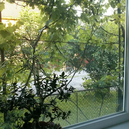 Svalyavа Svalyava