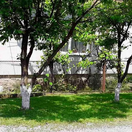 Svalyavа Country house *