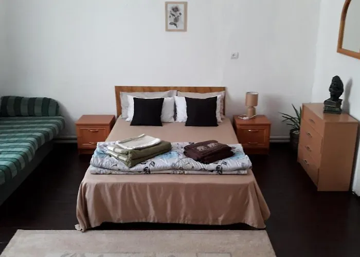 Svalyavа 乡村民宿 *