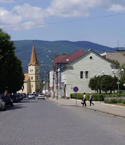 乡村民宿 Svalyavа