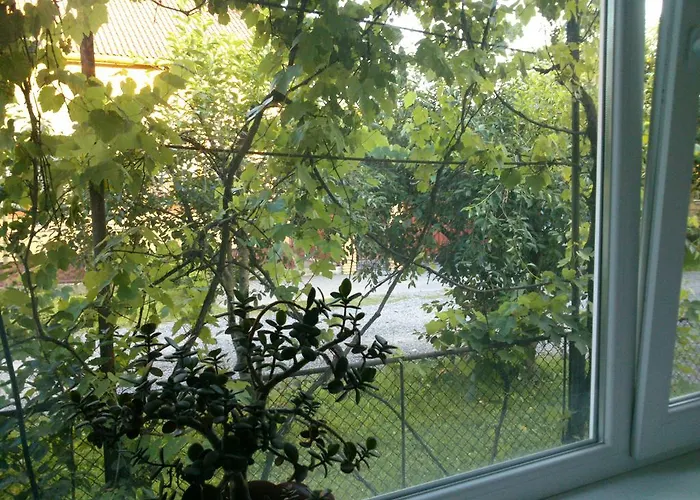 Svalyavа 斯瓦拉瓦