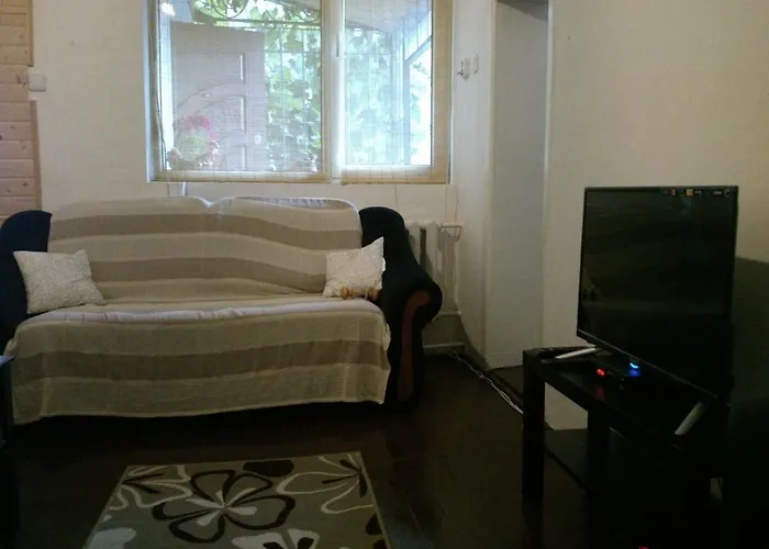 Svalyavа 乡村民宿 *