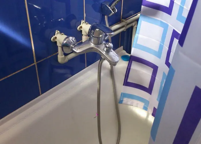 Svalyavа 乡村民宿 斯瓦拉瓦