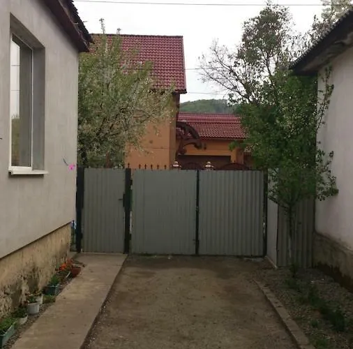 乡村民宿 Svalyavа *