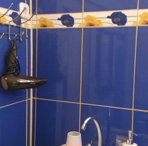 乡村民宿 Svalyavа *