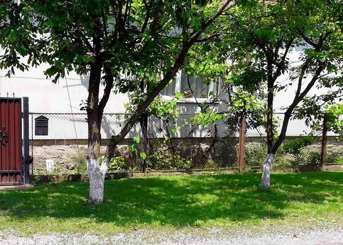 Svalyavа 乡村民宿 *